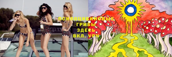 первитин Ельня