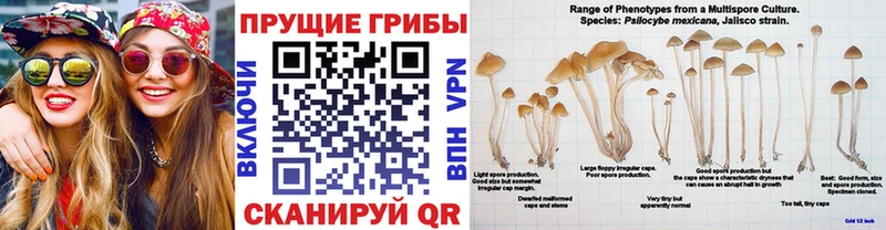 mega маркетплейс  Альметьевск  Галлюциногенные грибы мухоморы 